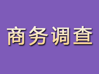 老河口商务调查